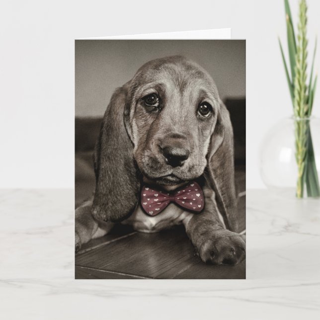 Sepia Basset Hound Puppy Glad Valentindagen Helgkort (Framsida)
