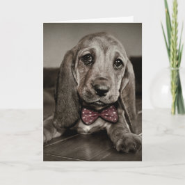 Sepia Basset Hound Puppy Glad Valentindagen Helgkort
