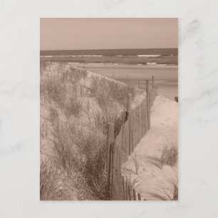 Sepia Beach Scene Vykort