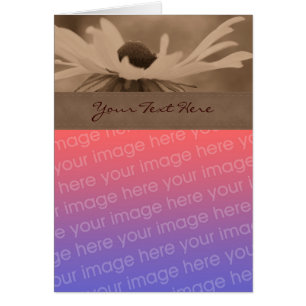 Sepia Black Eyed Susan Flower Photo Card Hälsningskort