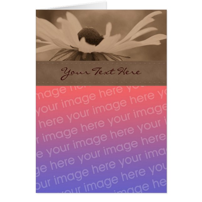 Sepia Black Eyed Susan Flower Photo Card Hälsningskort (Framsidan)