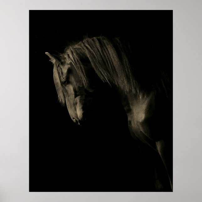 Sepia Black Horse Poster (Framsidan)