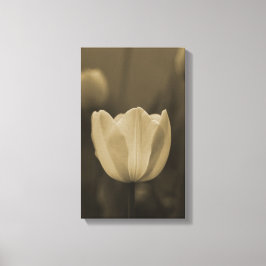 Sepia-blommar med en enda tulpanblomma nära canvastryck