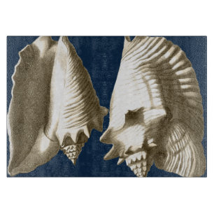 Sepia Conch Seashells