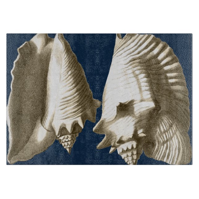Sepia Conch Seashells (Framsidan)