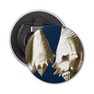 Sepia Conch Seashells Flasköppnare