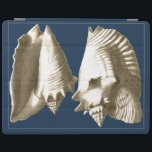 Sepia Conch Seashells iPad Skydd<br><div class="desc">Du kan höra havet från det här säsongshuset...  högt och tydligt! Om du stressas ut,  så är bild på den varma sandstranden. De här årstidsskalorna är ett underbart biet av konst med en marin bakgrund som gör att bilden blir vassare.</div>