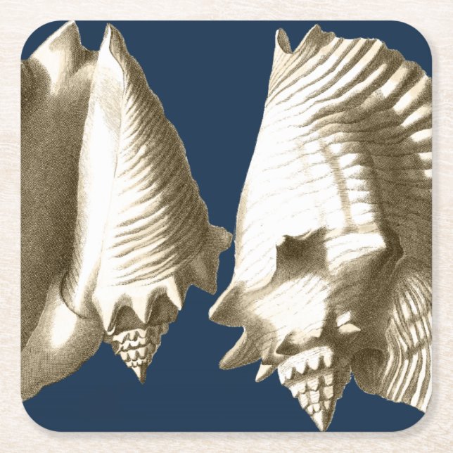 Sepia Conch Seashells Underlägg Papper Kvadrat (Framsidan)