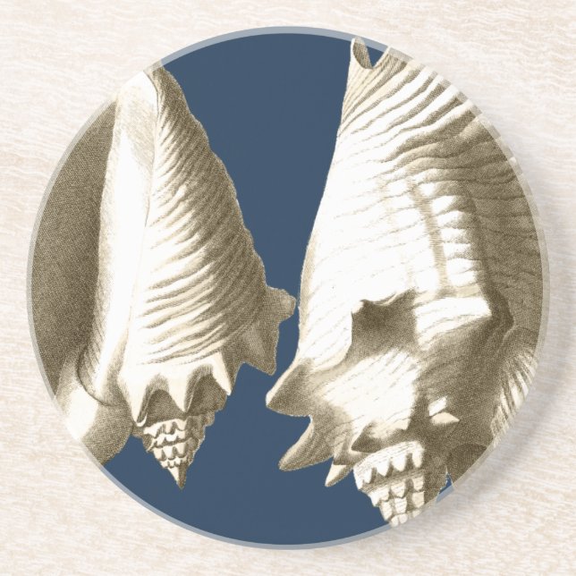 Sepia Conch Seashells Underlägg Sandsten (Framsidan)