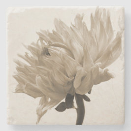sepia dahlia underlägg sten