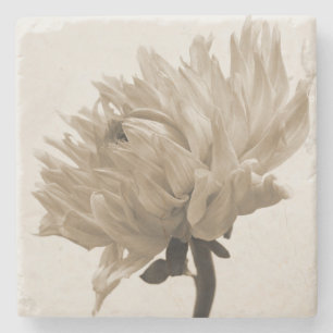 sepia dahlia underlägg sten