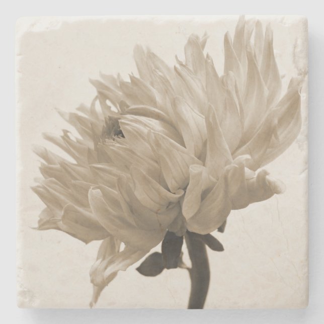 sepia dahlia underlägg sten (Framsidan)