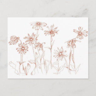 Sepia Daisy Pen och Bläck Flower Teckning Vykort
