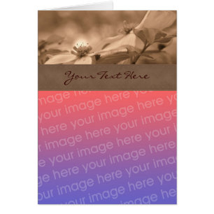 Sepia Dogwood Flower Photo Card Hälsningskort