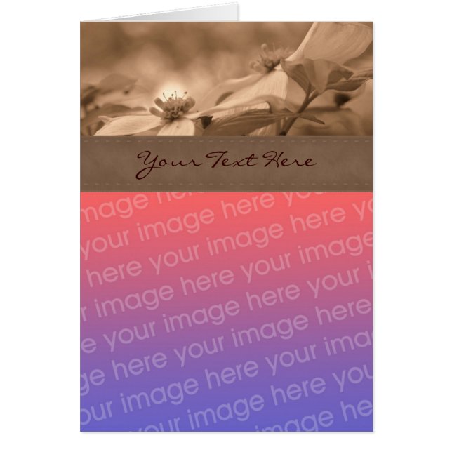 Sepia Dogwood Flower Photo Card Hälsningskort (Framsidan)