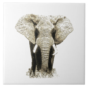 Sepia Elephant Kakelplatta