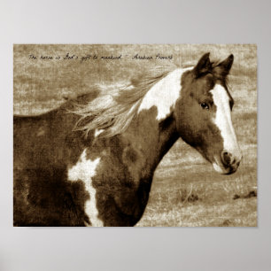 Sepia Flashy med citat Poster