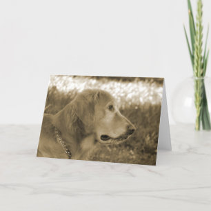 Sepia Golden Retriever Kort