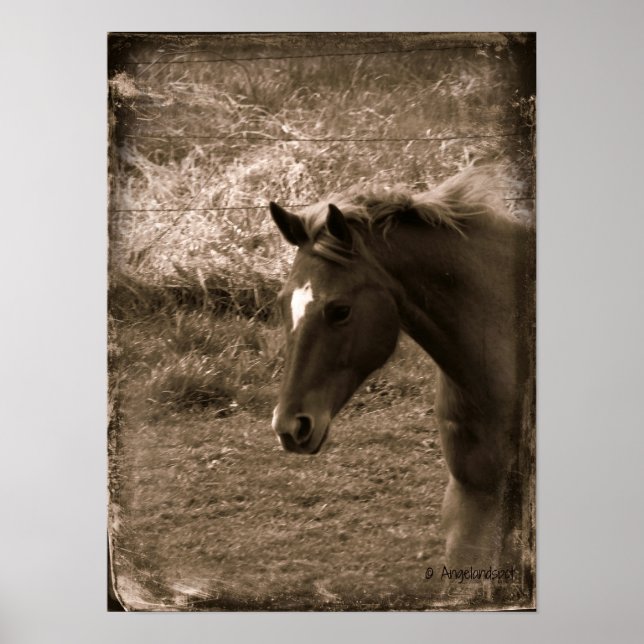 Sepia Grunge Horse Poster (Framsidan)