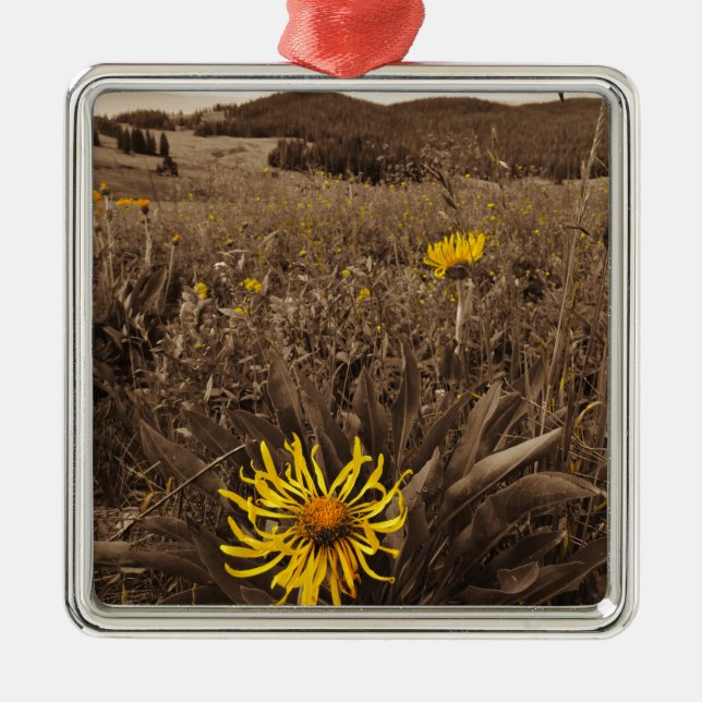 Sepia-Gult, vilda blommor Julgransprydnad Metall (Framsidan)