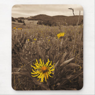 Sepia-Gult, vilda blommor Musmatta