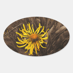 Sepia-Gult, vilda blommor Ovalt Klistermärke