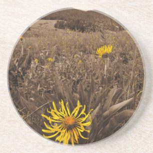 Sepia-Gult, vilda blommor Underlägg