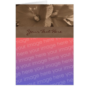 Sepia Hibiscus Flower Photo Card Hälsningskort
