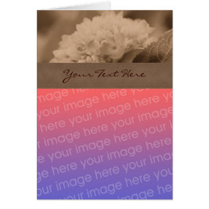 Sepia Hydrangea Flower Photo Card Hälsningskort