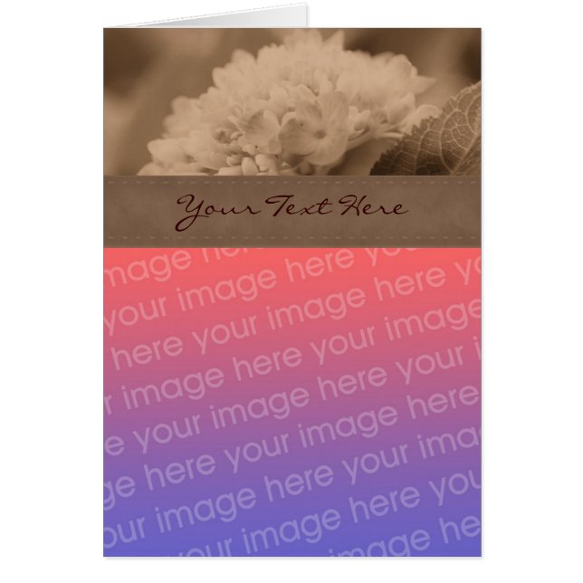 Sepia Hydrangea Flower Photo Card Hälsningskort (Framsidan)