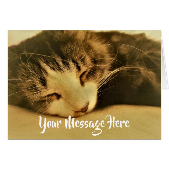 Sepia-katt Napping Hälsningskort (Framsidan Horizontal)