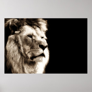 Sepia Lejon djurfotografi Poster