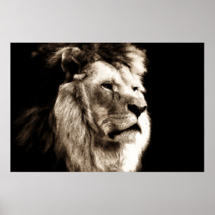 Sepia Lejon Poster