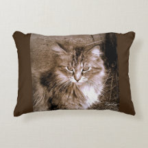 Sepia Maine Coon Kattkudde