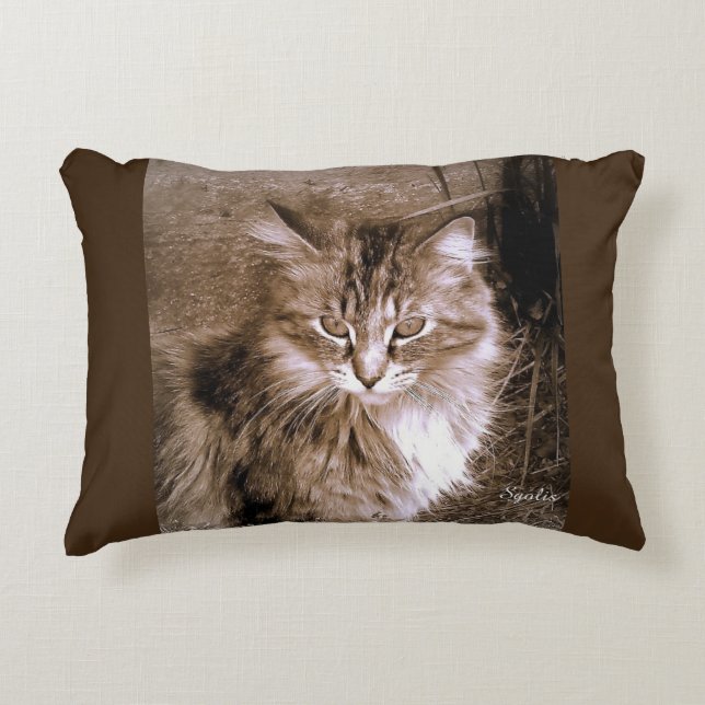 Sepia Maine Coon Kattkudde Prydnadskudde (Framsidan)