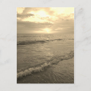 Sepia oceansolnedgång vykort