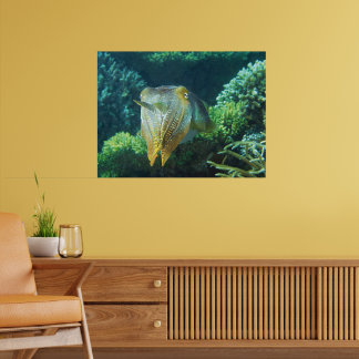Sepia på nära håll! Lysande bläckfisk vid korallre Poster