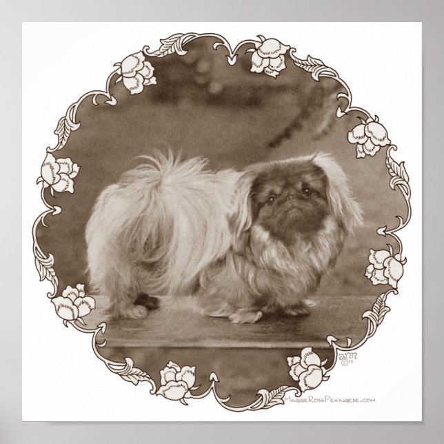 Sepia Pekingese Porträtt Poster (Framsidan)