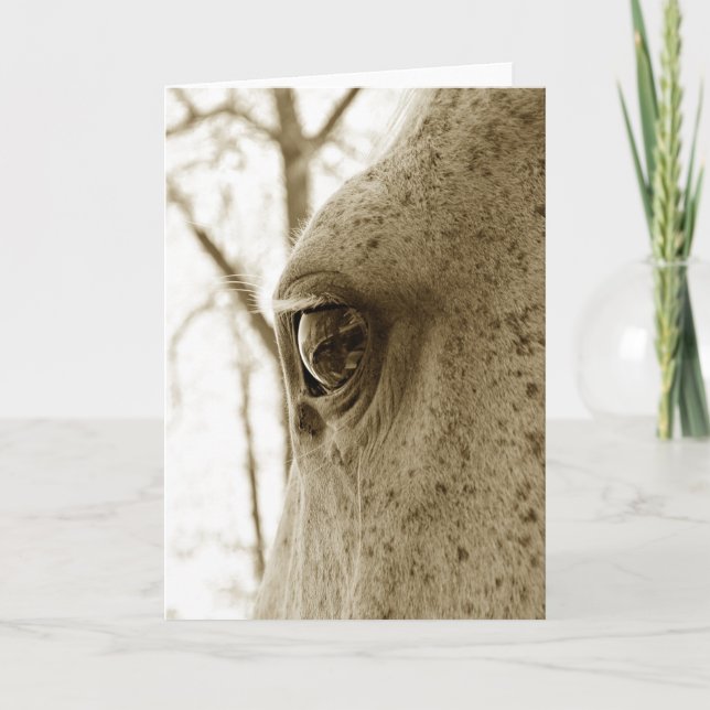 Sepia Photo of Dappled Grått Horse Öga Kort (Framsida)