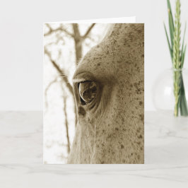 Sepia Photo of Dappled Grått Horse Öga Kort