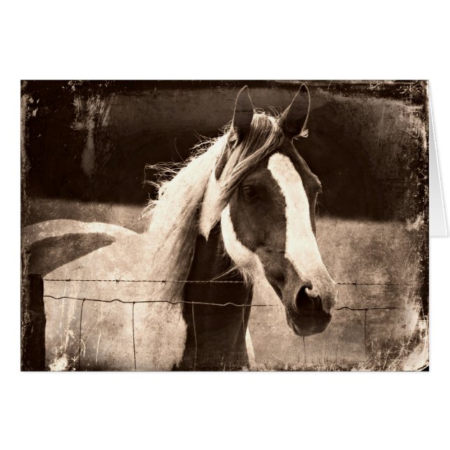 Sepia Pinto Hälsningskort (Framsidan Horizontal)