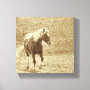 Sepia Pinto Pony Canvastryck