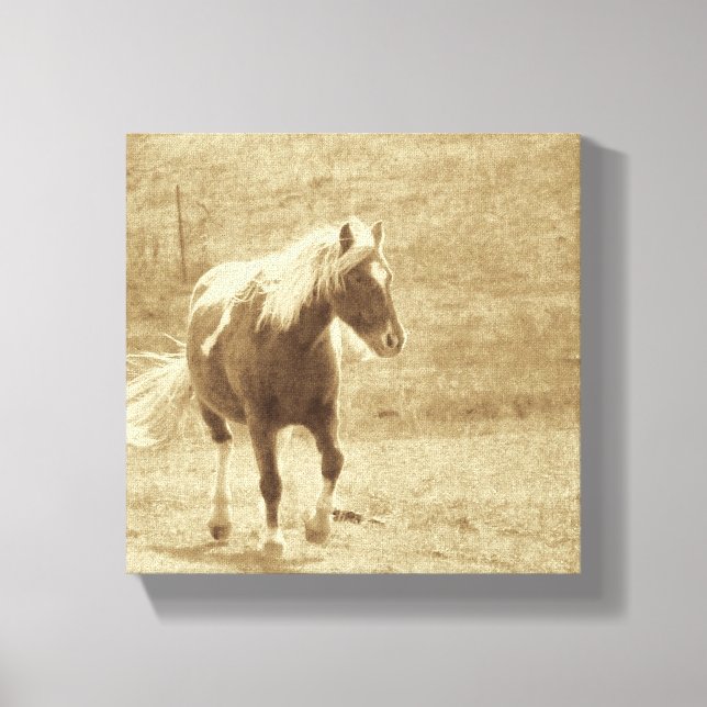 Sepia Pinto Pony Canvastryck (Framsida)