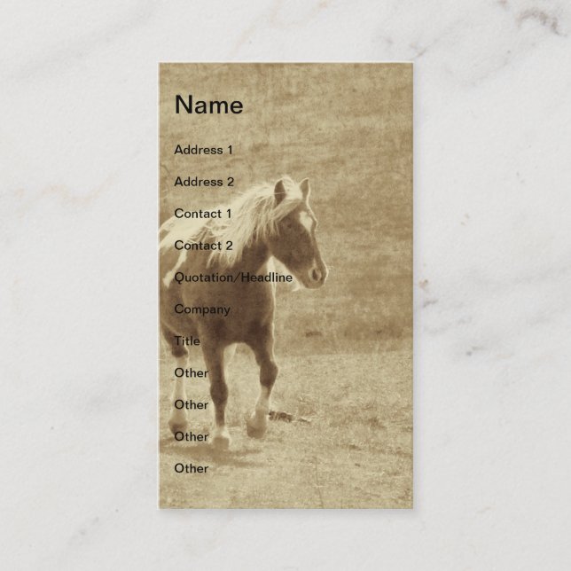 Sepia Pinto Pony Visitkort (Framsida)