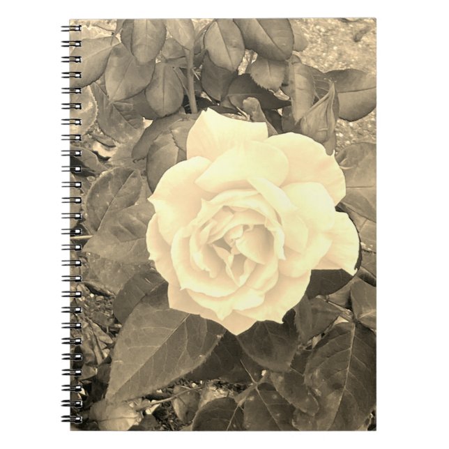 Sepia Ro Notebook Anteckningsbok (Framsidan)