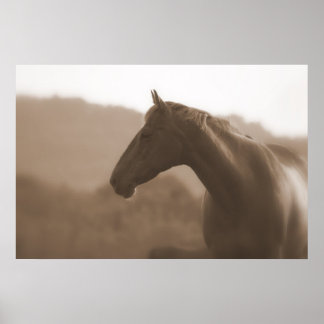 Sepia Silhouette Large Basic-Poster Poster