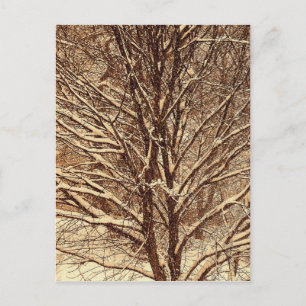 Sepia Snö Vykort