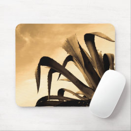 Sepia Spain Aloe Plant Photograph Musmatta