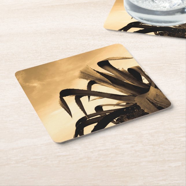 Sepia Spain Aloe Plant Photograph Underlägg Papper Kvadrat (Vinklad)