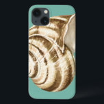 Sepia Stripe-Snäckan på skalet<br><div class="desc">Megan Meagher är känd för sin enkla konst biet. Detta är en underbar bild av dekorativ konst som fångar upp havets liv med en strimlad sepiabisk snäcka. Hämta den här bran på färg på Zazzle-produkten i dag.</div>